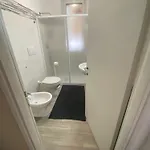 Apartman Attico Flora *